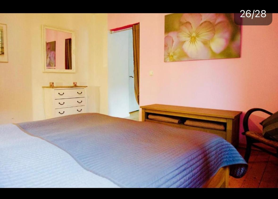 Apartment Moselblick Mit Kamin Traben-Trarbach Eksteriør bilde